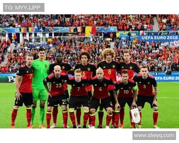 比利时队无缘欧洲杯四分之一决赛：黄金一代的遗憾与反思