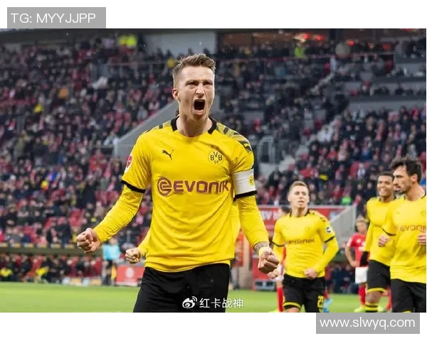 云达不莱梅重返德乙，结束20年德甲征程